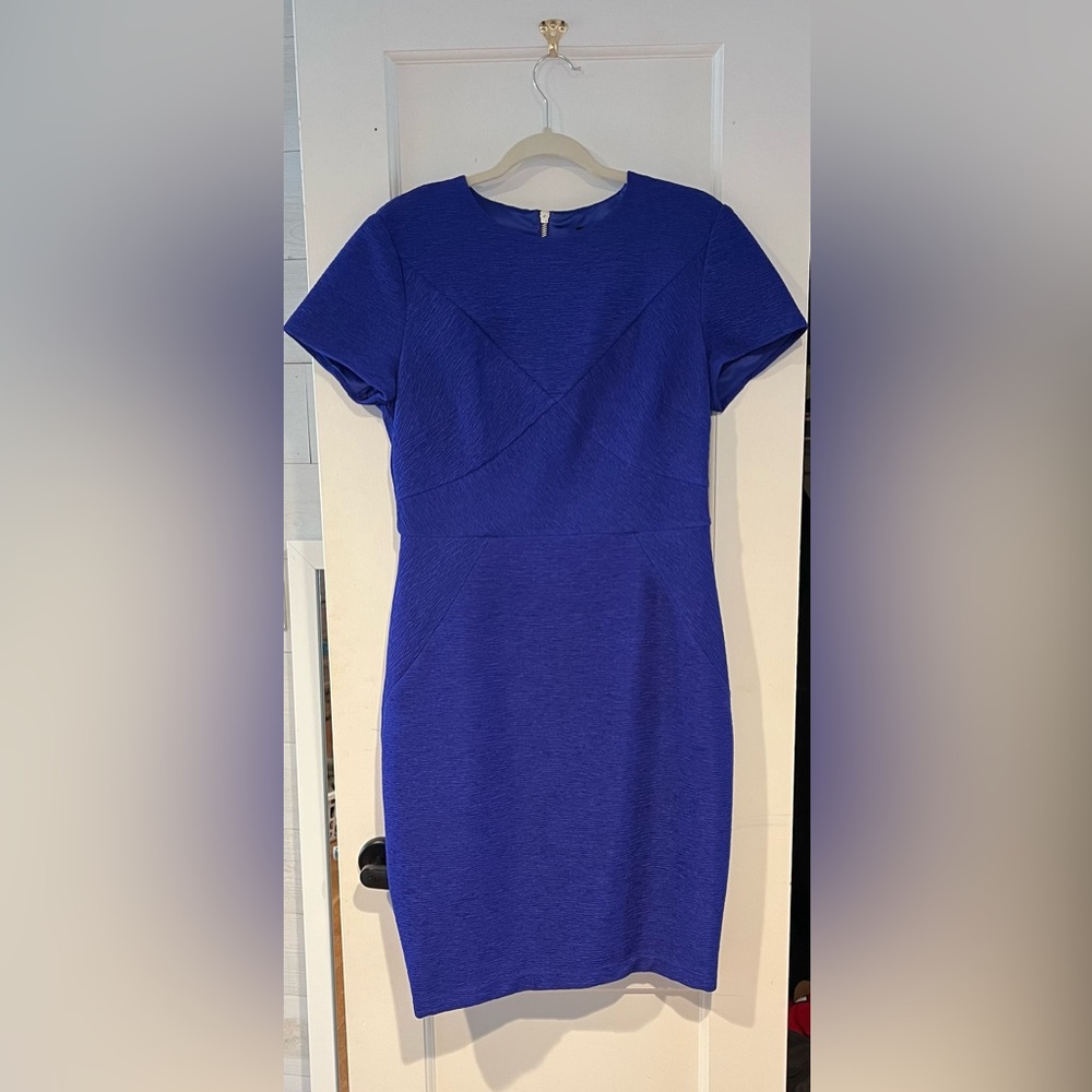 Ted Baker Size 4 UK Dress